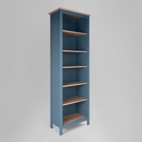2.08.07.110.16 САГА стеллаж 70 темно-бирюзовый/ясень RU в Карталах - kartaly.ok-mebel.com | фото 1