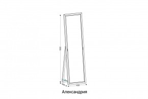 АЛЕКСАНДРИЯ-9.1 Зеркало напольное в Карталах - kartaly.ok-mebel.com | фото 2