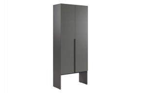 БАСКО Шкаф двухдверный L800 (графит) в Карталах - kartaly.ok-mebel.com | фото