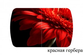 БОСТОН опоры Триумф в Карталах - kartaly.ok-mebel.com | фото 27