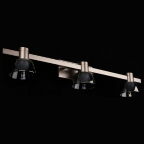 Бра Aployt Rezeda APL.788.01.03 в Карталах - kartaly.ok-mebel.com | фото 11