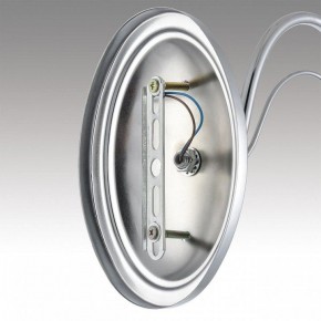 Бра Lumion INCANTO 8034/1W в Карталах - kartaly.ok-mebel.com | фото 7