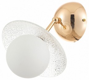 Бра Rivoli Jacqueline Б0066444 в Карталах - kartaly.ok-mebel.com | фото