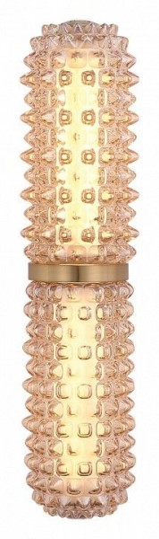 Бра ST-Luce SAGUARO SL6144.301.01 в Карталах - kartaly.ok-mebel.com | фото 3