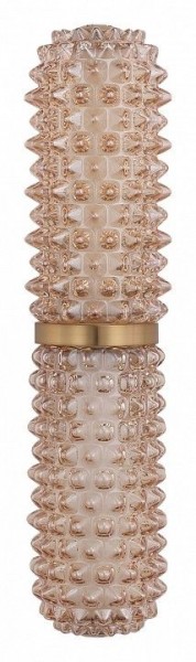 Бра ST-Luce SAGUARO SL6144.301.01 в Карталах - kartaly.ok-mebel.com | фото 4