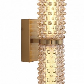 Бра ST-Luce SAGUARO SL6144.301.01 в Карталах - kartaly.ok-mebel.com | фото 6