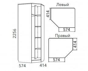 Детская Фанк Шкаф угловой Левый/Правый НМ 013.04-02 М в Карталах - kartaly.ok-mebel.com | фото 3