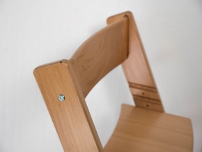 Детский растущий стул из бука Премиум Конёк Горбунёк (Светлый бук) в Карталах - kartaly.ok-mebel.com | фото 3