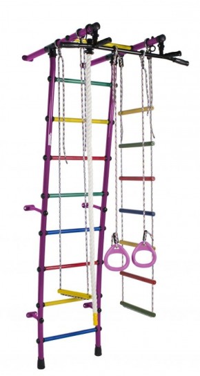 ДСК Стелла цв.фиолетовый радуга: турник, кольца, канат, трапеция, веревочная лестница в Карталах - kartaly.ok-mebel.com | фото