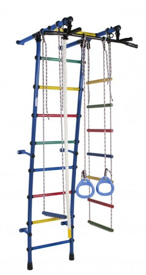 ДСК Стелла цв.синий радуга: турник, кольца, канат, трапеция, веревочная лестница в Карталах - kartaly.ok-mebel.com | фото