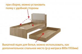 Дуглас (подростковая) М14 Кровать в Карталах - kartaly.ok-mebel.com | фото 5