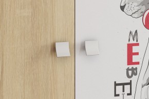 ЭНЕРДЖИ Шкаф 2-створчатый в Карталах - kartaly.ok-mebel.com | фото 4