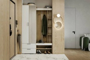 Гарнитур для прихожей Торонто в Карталах - kartaly.ok-mebel.com | фото 5