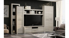 ЭЛИС Гостиная в Карталах - kartaly.ok-mebel.com | фото 2