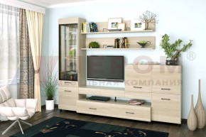 Гостиная Камелия Композиция 5 (Ясень Асахи) в Карталах - kartaly.ok-mebel.com | фото