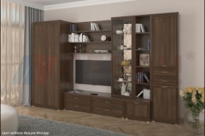 Гостиная Карина Композиция 11 (Акация Молдау) в Карталах - kartaly.ok-mebel.com | фото