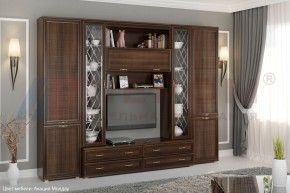 Гостиная Карина Композиция 19 (Акация Молдау) в Карталах - kartaly.ok-mebel.com | фото 5