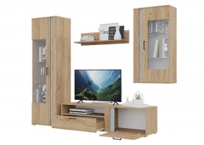 Гостиная Омега (Крафт золотой-Бетон) в Карталах - kartaly.ok-mebel.com | фото 4