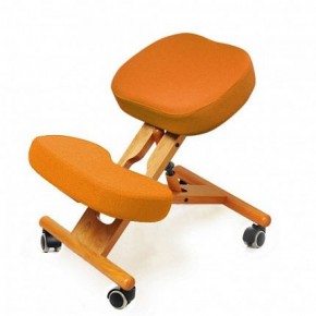 Коленный стул Smartstool KW02 + Чехлы в Карталах - kartaly.ok-mebel.com | фото 3