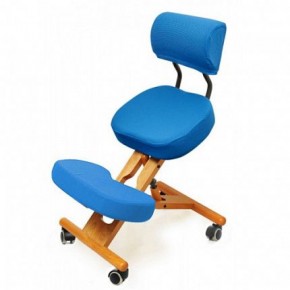 Коленный стул со спинкой Smartstool KW02В + Чехлы в Карталах - kartaly.ok-mebel.com | фото 2