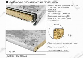 Кухонный фартук со столешницей (А-01) в едином стиле (3050 мм) в Карталах - kartaly.ok-mebel.com | фото 6