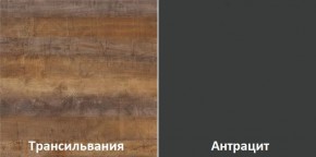 Кухонный гарнитур угловой Трансильвания 2600х1600 мм (Стол. 38 мм) в Карталах - kartaly.ok-mebel.com | фото 3
