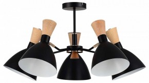 Люстра на штанге EVOLUCE VISTA SLE1256-402-05 в Карталах - kartaly.ok-mebel.com | фото