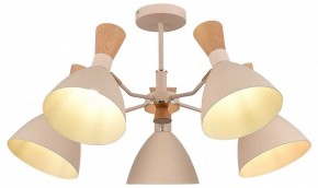 Люстра на штанге EVOLUCE VISTA SLE1256-502-05 в Карталах - kartaly.ok-mebel.com | фото 6