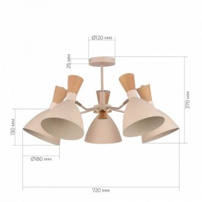 Люстра на штанге EVOLUCE VISTA SLE1256-502-05 в Карталах - kartaly.ok-mebel.com | фото 8