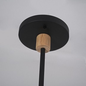 Люстра на штанге Imperiumloft TURNA Black TURNA-DBL01 в Карталах - kartaly.ok-mebel.com | фото 9