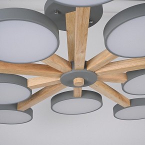 Люстра на штанге Imperiumloft TURNA Gray TURNA-B01 в Карталах - kartaly.ok-mebel.com | фото 10