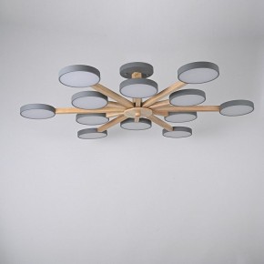 Люстра на штанге Imperiumloft TURNA Gray TURNA-B01 в Карталах - kartaly.ok-mebel.com | фото 3