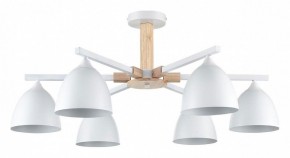 Люстра на штанге Lumion Colange 8095/6C в Карталах - kartaly.ok-mebel.com | фото