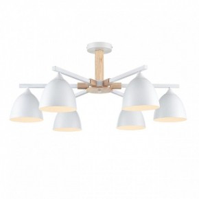 Люстра на штанге Lumion Colange 8095/6C в Карталах - kartaly.ok-mebel.com | фото 2