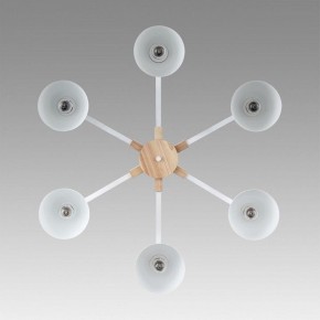 Люстра на штанге Lumion Colange 8095/6C в Карталах - kartaly.ok-mebel.com | фото 4