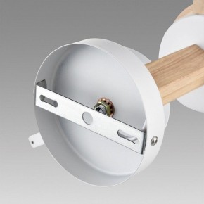 Люстра на штанге Lumion Colange 8095/6C в Карталах - kartaly.ok-mebel.com | фото 6