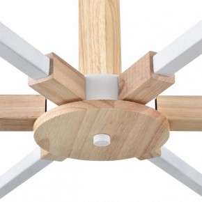 Люстра на штанге Lumion Colange 8095/6C в Карталах - kartaly.ok-mebel.com | фото 7