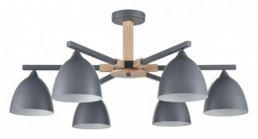 Люстра на штанге Lumion Colange 8096/6C в Карталах - kartaly.ok-mebel.com | фото