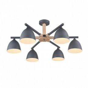Люстра на штанге Lumion Colange 8096/6C в Карталах - kartaly.ok-mebel.com | фото 3