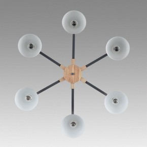 Люстра на штанге Lumion Colange 8096/6C в Карталах - kartaly.ok-mebel.com | фото 4