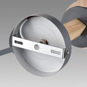 Люстра на штанге Lumion Colange 8096/6C в Карталах - kartaly.ok-mebel.com | фото 6