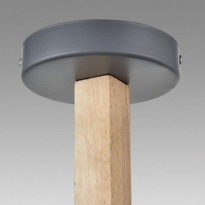 Люстра на штанге Lumion Colange 8096/6C в Карталах - kartaly.ok-mebel.com | фото 9