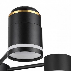 Люстра на штанге Lumion Virsava 8234/6C в Карталах - kartaly.ok-mebel.com | фото 8