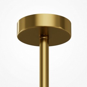 Люстра на штанге Maytoni Museo MOD436PL-05BS в Карталах - kartaly.ok-mebel.com | фото 6