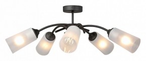 Люстра на штанге Vitaluce V2850 V2850-1/5PL в Карталах - kartaly.ok-mebel.com | фото 3