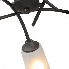 Люстра на штанге Vitaluce V2850 V2850-1/5PL в Карталах - kartaly.ok-mebel.com | фото 6
