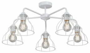 Люстра на штанге Vitaluce V3102 V3102-0/5PL в Карталах - kartaly.ok-mebel.com | фото