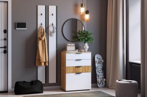 МЕБЕЛЬСОН К21 Прихожая (белое дерево) в Карталах - kartaly.ok-mebel.com | фото