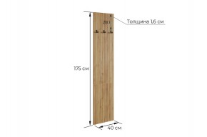МЕБЕЛЬСОН К7 Прихожая в Карталах - kartaly.ok-mebel.com | фото 4