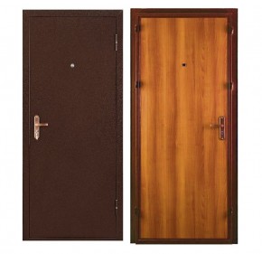 Металлическая дверь СПЕЦ ПРО (МЕТАЛЛ-ПАНЕЛЬ) 2060*860/ЛЕВАЯ в Карталах - kartaly.ok-mebel.com | фото